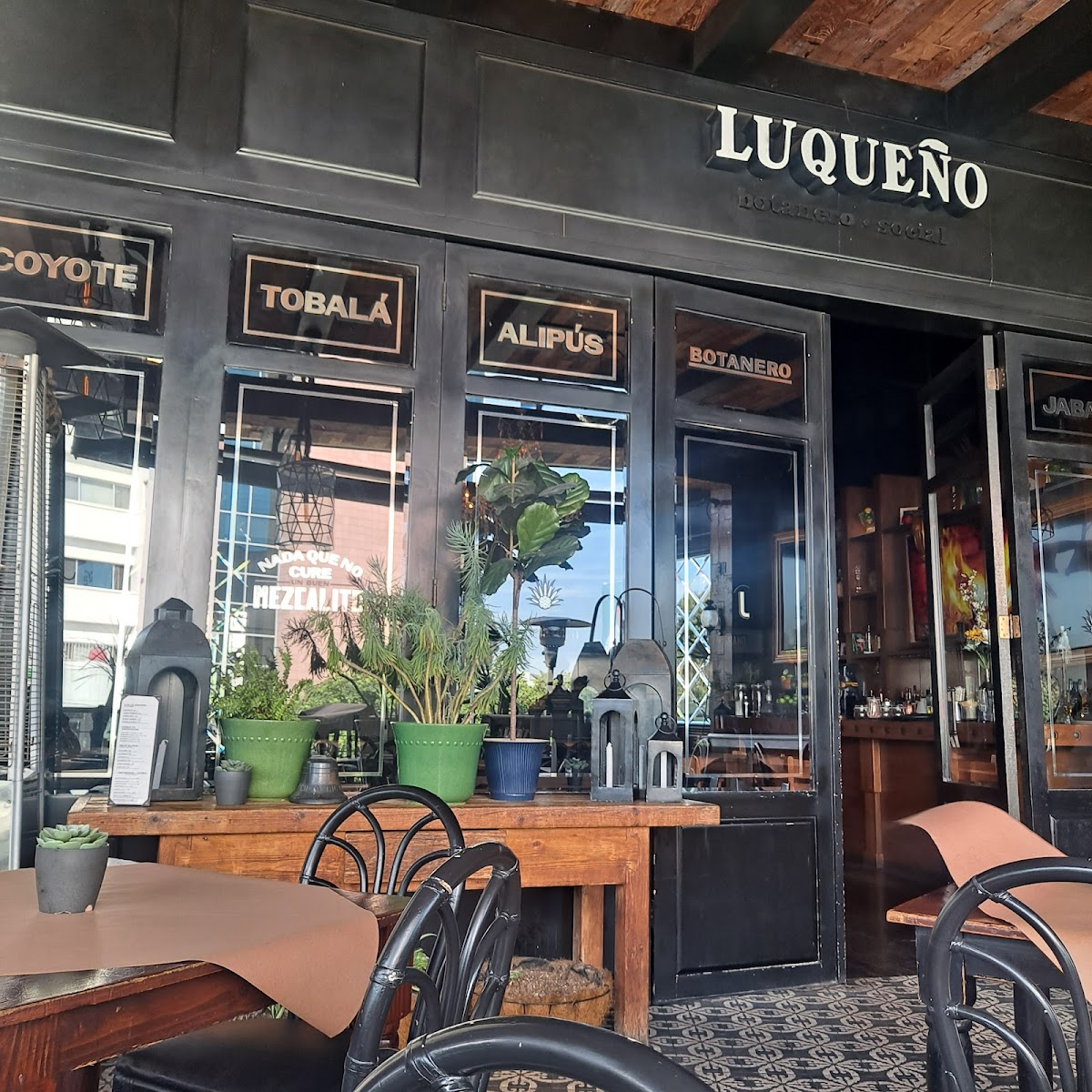 BODEGA 8